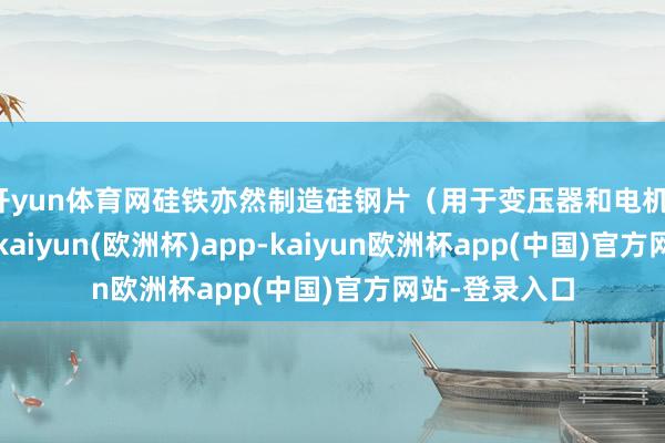 开yun体育网硅铁亦然制造硅钢片（用于变压器和电机）的遑急原料-kaiyun(欧洲杯)app-kaiyun欧洲杯app(中国)官方网站-登录入口