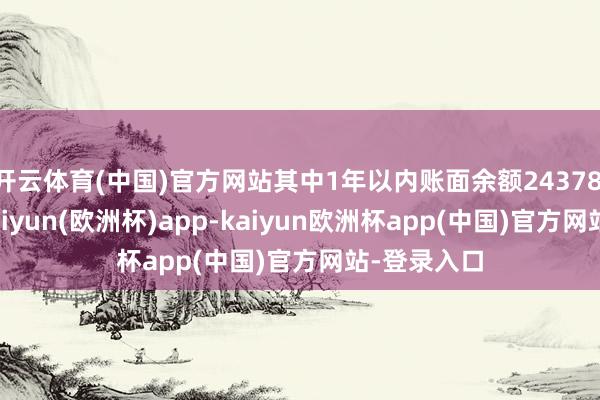 开云体育(中国)官方网站其中1年以内账面余额24378.75万元-kaiyun(欧洲杯)app-kaiyun欧洲杯app(中国)官方网站-登录入口