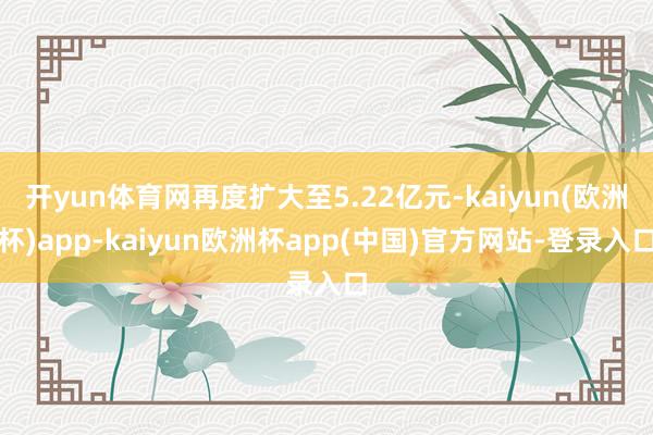 开yun体育网再度扩大至5.22亿元-kaiyun(欧洲杯)app-kaiyun欧洲杯app(中国)官方网站-登录入口