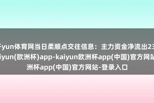 开yun体育网当日柔顺点交往信息：主力资金净流出233.8万元-kaiyun(欧洲杯)app-kaiyun欧洲杯app(中国)官方网站-登录入口