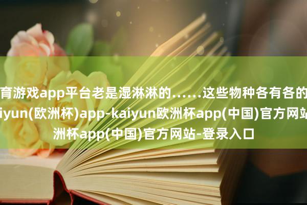 体育游戏app平台老是湿淋淋的……这些物种各有各的糊口战略-kaiyun(欧洲杯)app-kaiyun欧洲杯app(中国)官方网站-登录入口