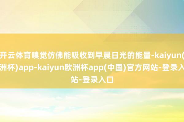 开云体育嗅觉仿佛能吸收到早晨日光的能量-kaiyun(欧洲杯)app-kaiyun欧洲杯app(中国)官方网站-登录入口