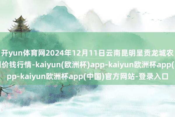 开yun体育网2024年12月11日云南昆明呈贡龙城农产物方向股份有限公司价钱行情-kaiyun(欧洲杯)app-kaiyun欧洲杯app(中国)官方网站-登录入口