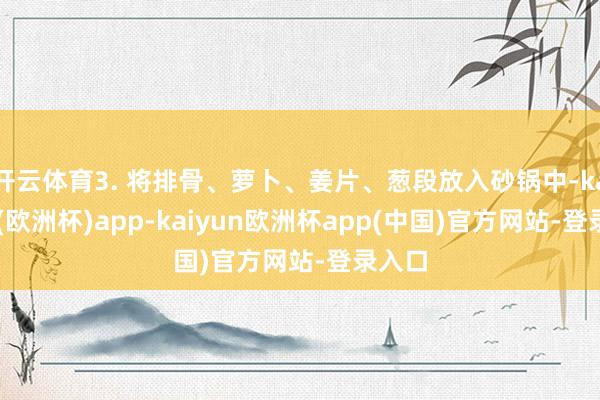 开云体育3. 将排骨、萝卜、姜片、葱段放入砂锅中-kaiyun(欧洲杯)app-