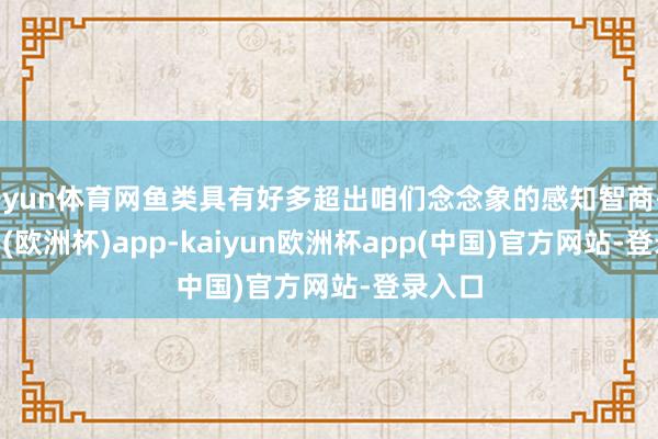 开yun体育网鱼类具有好多超出咱们念念象的感知智商-kaiyun(欧洲杯)app